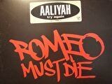 Aaliyah – Try Again  -  Funk ,  Soul RnB Müzik Plak alithestereo