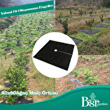 Ağaç Taban Örtüsü 80x80 Bsr Garden 5 Adet