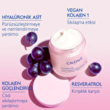 Caudalie Resveratrol Lift Sıkılaştırıcı Kaşmir Krem 50 ml
