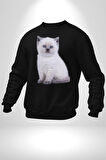 Siyah Yavru Kedi Kadın Erkek Siyah Sweatshirt 