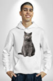 British Shorthair Kedi  Kadın Erkek  Beyaz Kapüşonlu Sweatshirt Hoodie