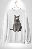 British Shorthair Kedi  Kadın Erkek Beyaz Sweatshirt 