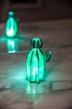 Vegas Kaktüs 3D Led Işık (3)