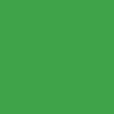 Gdx Seyyar Kağıt Sonsuz Stüdyo Fon Perde (Green/Yeşil) 2.70x11 Metre