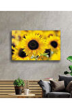 Ayçiçeği Cam Tablo 4mm Dayanıklı Temperli Cam Sunflower Glass Wall Art