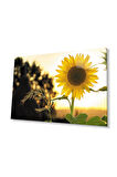 Ayçiçeği Cam Tablo 4mm Dayanıklı Temperli Cam Sunflower Glass Wall Art