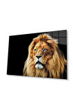 Aslan Cam Tablo 4mm Dayanıklı Temperli Cam