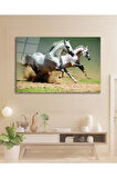 Atlar Cam Tablo, Ev Ofis Salon Hediyelik Duvar Dekoru