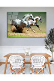 Atlar Cam Tablo, Ev Ofis Salon Hediyelik Duvar Dekoru