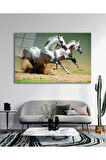Atlar Cam Tablo, Ev Ofis Salon Hediyelik Duvar Dekoru