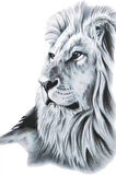 Caş Dekorasyon Aslan Figürlü Geçici Dövme Tattoo