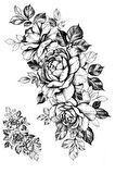 Caş Dekorasyon Gül Figürlü Geçici Dövme Tattoo