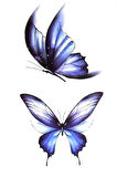 Caş Dekorasyon Kelebek Figürlü Geçici Mini Dövme Tattoo