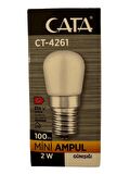 Cata CT-4261 2W 3200K (Günışığı) E14 Duylu Mini Led Ampul