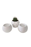 Taş Mumlukta Kaktüs ve Mum, Lavanta Kokulu %100 Doğal Soya Mum-Beşgen-Yuv. (7cm,7cm, 8,5cm)- 3lü set