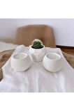 Taş Mumlukta Kaktüs ve Mum, Lavanta Kokulu %100 Doğal Soya Mum-Beşgen-Yuv. (7cm,7cm, 8,5cm)- 3lü set