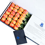 Sapphire - 24 Adet Turuncu Gül