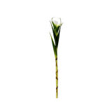Yapay Tekli Single Eirel Dalı 67 cm