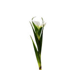Yapay Tekli Single Eirel Dalı 67 cm