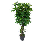 Yapay Mango Ağacı Yeşil 170 cm