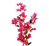 Yapay Pembe Begonvil Dalı 118 cm