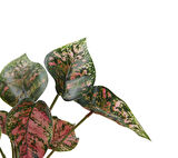 Yapay Singonyum Demeti Pembe 30 cm