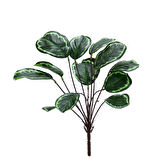 Yapay Calethea Demeti 30 cm
