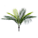 Yapay Areka Demeti 50 cm