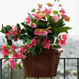 Yapay Antoryum Demeti Pembe 45 cm
