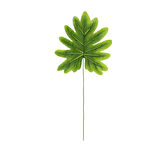 Yapay Philodendron Yaprağı 60 cm