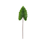 Yapay Alocasia Yaprağı 88 cm