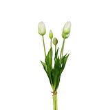 Yapay Islak Dokulu Lale Beyaz 43 cm
