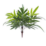Yapay Bambu Demeti 55 cm