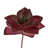 Yapay Mini Echeveria Sukulent Bordo 8 cm