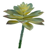 Yapay Mini Etli Echeveria Sukulent Açık Yeşil 12 cm
