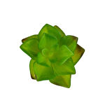 Yapay Mini Etli Echeveria Sukulent Açık Yeşil 8 cm