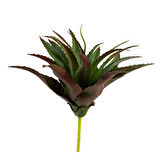 Yapay Dikenli Sisal Sukulent Kızıl Yeşil 26 cm