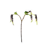 Yapay Berry Garnitür Dalı Mor 65 cm