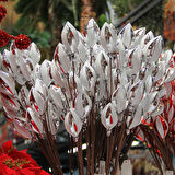 Yılbaşı Süsü Konik Dal Gümüş Beyaz 65 cm