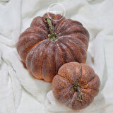 Yapay Kabak Küçük Boy Kızıl 15 cm