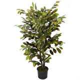 Yapay Kraton Ağacı 130 cm