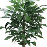 Yapay Ceviz Ağacı 130 cm