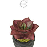 Yapay Mini Echeveria Sukulent Bordo 8 cm Saksılı
