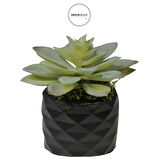 Yapay Mini Etli Echeveria Sukulent Açık Yeşil 12 cm Saksılı
