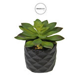 Yapay Mini Etli Echeveria Sukulent Yeşil 12 cm Saksılı