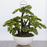 Yapay Bonzai Ağacı