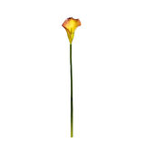 Yapay Gala Dalı Mini Turuncu 45 cm