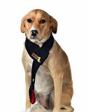 Polar Köpek Atkısı - Jetro