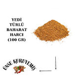 YEDİ TÜRLÜ BAHARAT HARCI 100 GR