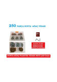Vida Seti Ahşap Plastik V.B 250 Parça Çap 3 MM Boy 13-20-25 MM